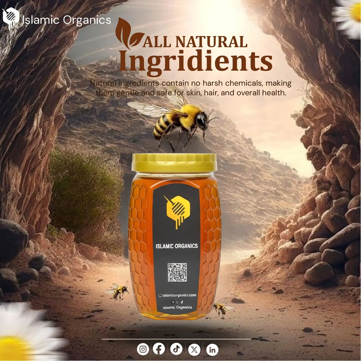 Honey 100%  Pure Best Price In Pakistan
