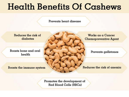 Cashew Nuts Kaju (Roasted & Salted) - Best Kaju Price In Pakistan